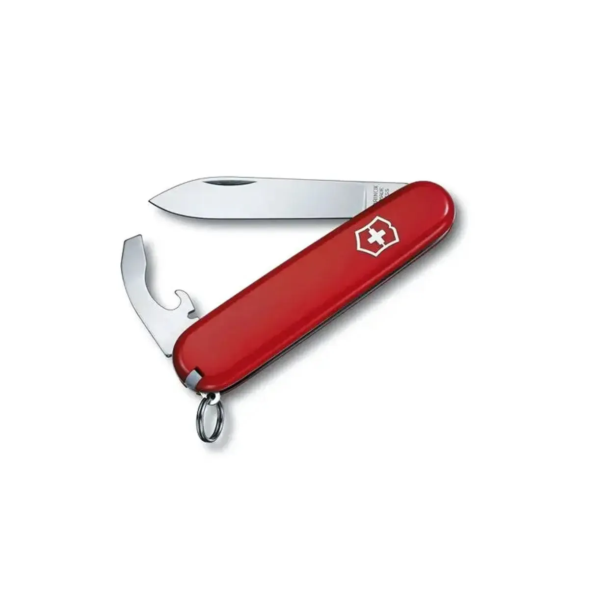 Bantam | Blister Pack - Red