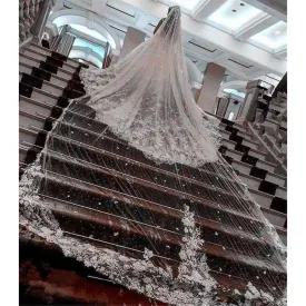 Bridal Veil With Sequins Lace Edge White Cathedral Length Veil With Comb
