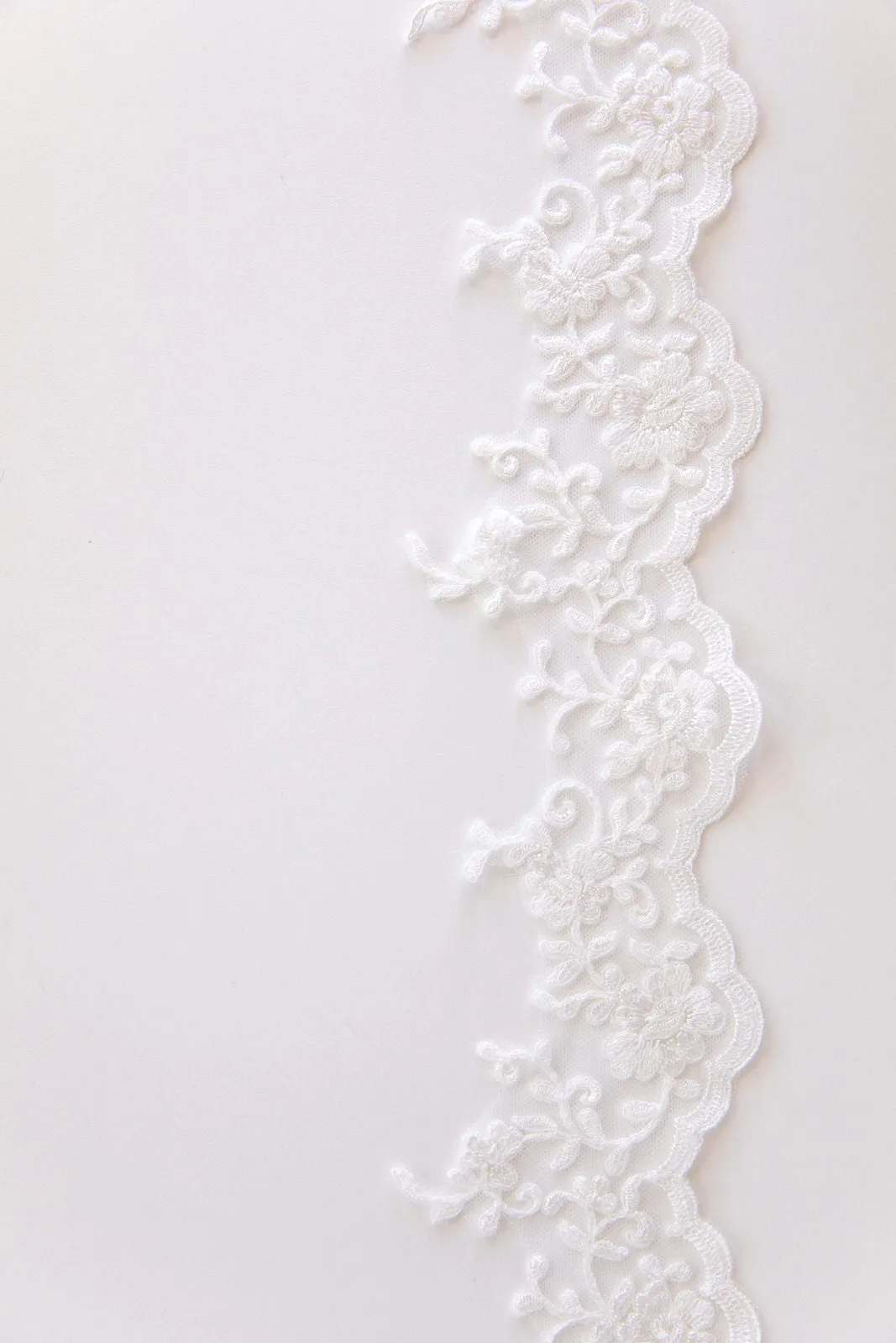 Long Cathedral Wedding Veil with Swirl Lace Trim