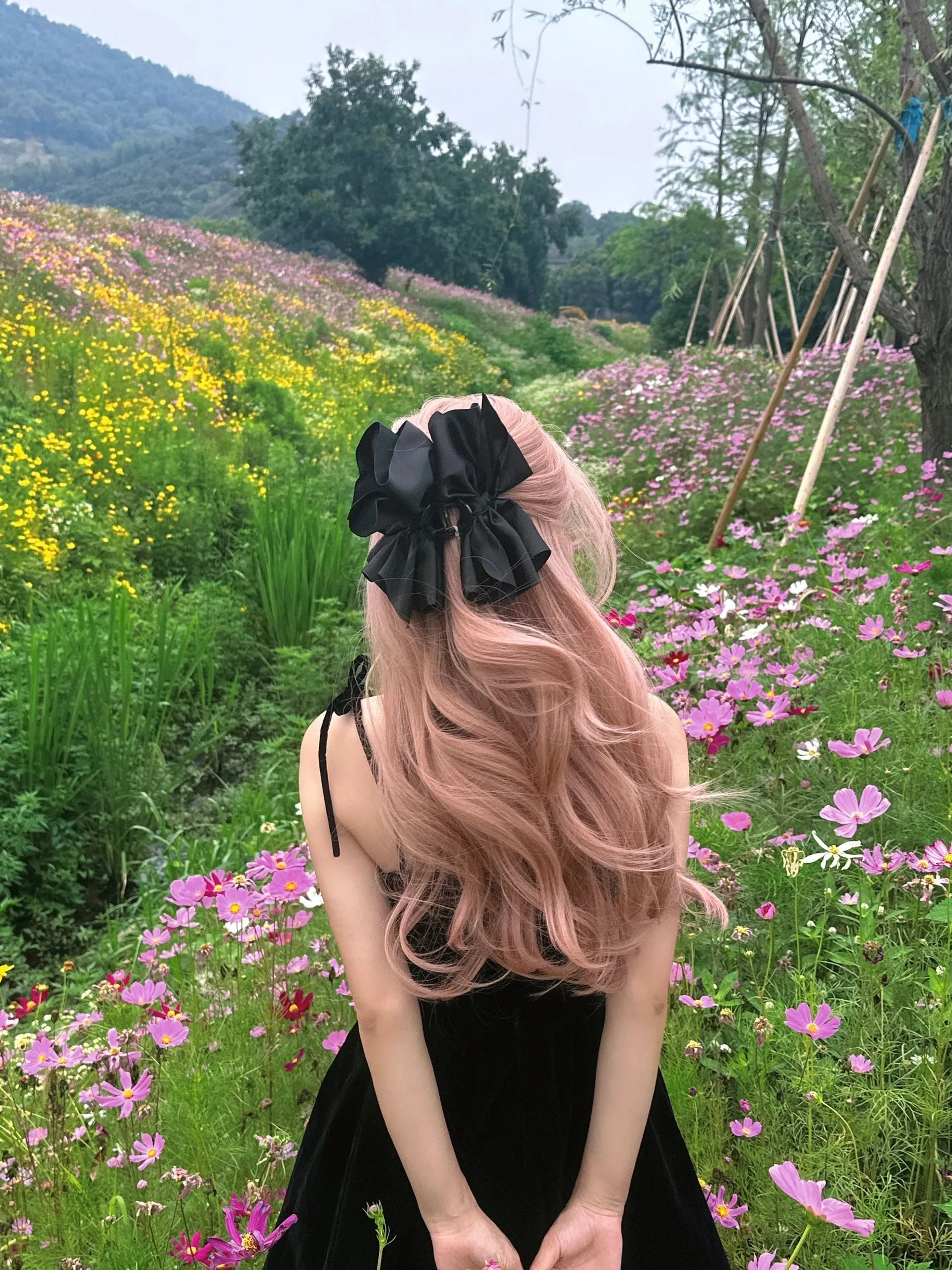 Rose Hair Style Daily Wig